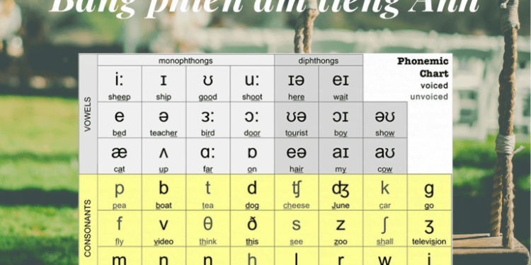 Cách đọc bảng phiên âm tiếng Anh IPA chính xác nhất