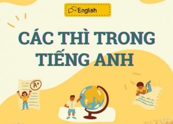 Các thì trong tiếng Anh: 12 thì trong tiếng Anh thông dụng nhất