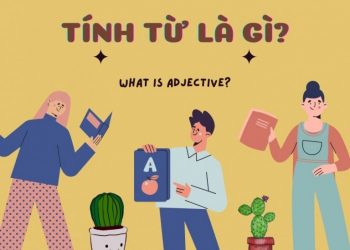 Tính từ là gì ? Toàn bộ kiến thức về tính từ trong tiếng Anh bạn cần biết