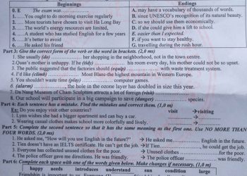 Đề Thi Tiếng Anh Vào Lớp 10 tỉnh Bình Định có file PDF tải về