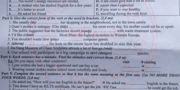 Đề Thi Tiếng Anh Vào Lớp 10 tỉnh Bình Định có file PDF tải về