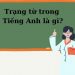 Phân Biệt Các Loại Trạng Từ Trong Tiếng Anh Và Cách Sử Dụng Trạng Từ Hiệu Quả Nhất