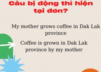 Tổng Hợp Kiến Thức Về Câu Bị động Thì Hiện Tại đơn Trong Tiếng Anh