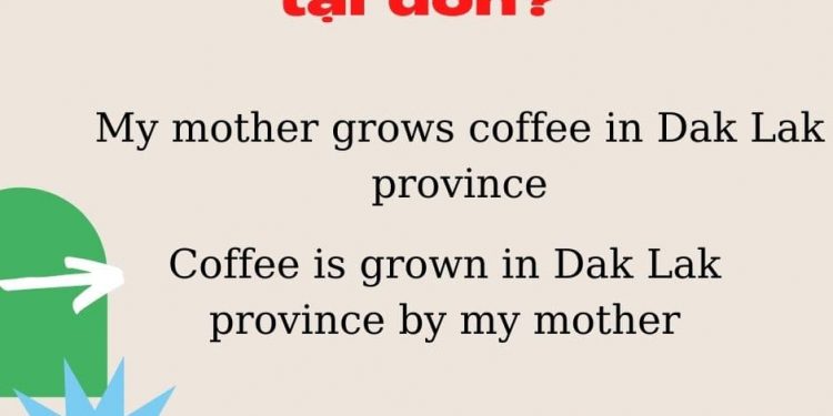 Tổng Hợp Kiến Thức Về Câu Bị động Thì Hiện Tại đơn Trong Tiếng Anh