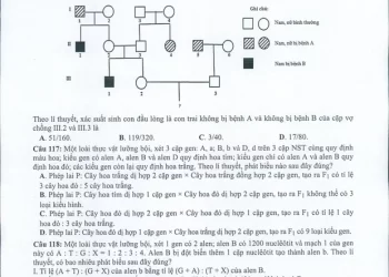 Đề minh họa Sinh 2022 có file PDF tải về nhanh nhất