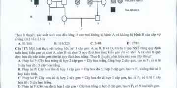 Đề minh họa Sinh 2022 có file PDF tải về nhanh nhất