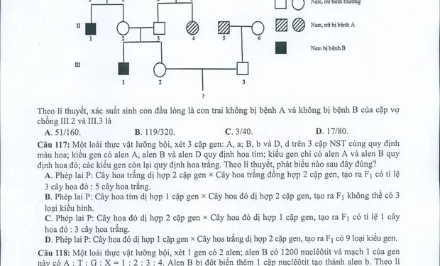 Đề minh họa Sinh 2022 có file PDF tải về nhanh nhất