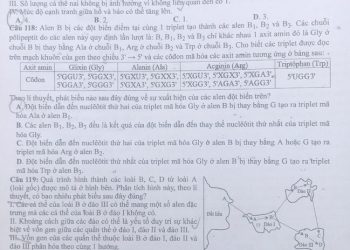 Đề thi sinh thpt quốc gia 2021 có file PDF tải về nhanh nhất 202 3