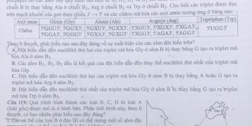Đề thi sinh thpt quốc gia 2021 có file PDF tải về nhanh nhất 202 3