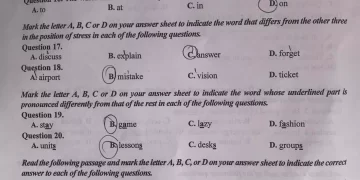 Đề thi tiếng anh vào 10 Hà Nội 2022 có file PDF tải về nhanh nhất