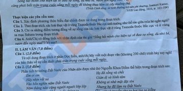 De Van Thi Tot Nghiep Thpt 2020