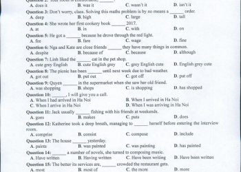 Đề thi tiếng anh THPT quốc gia 2022 chính thức