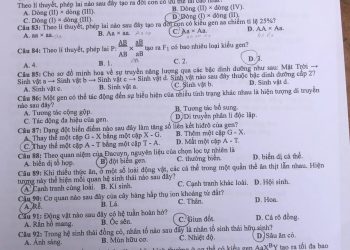 Đề thi sinh THPT quốc gia 2022 Cập Nhật Nhanh Nhất