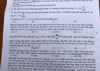 Đề thi sinh thpt quốc gia 2020 có file PDF tải về nhanh nhất