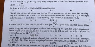 Đề thi sinh thpt quốc gia 2020 có file PDF tải về nhanh nhất
