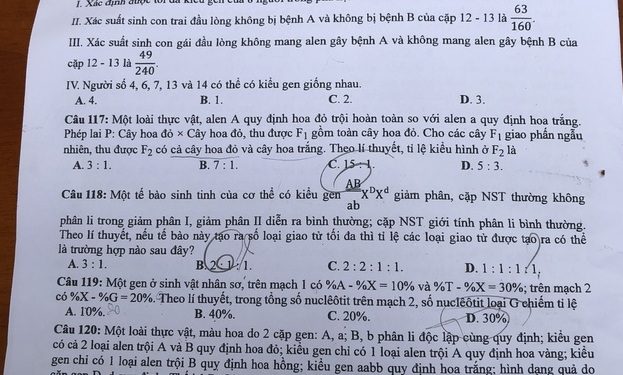 Đề thi sinh thpt quốc gia 2020 có file PDF tải về nhanh nhất