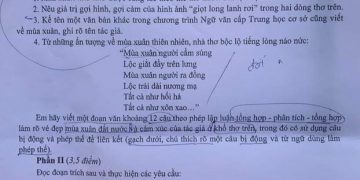 Đề thi vào 10 môn văn hà nội 2022