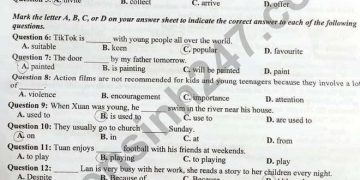 Đề thi tiếng anh vào 10 nghệ an 2022 có file PDF tải về