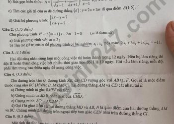 Đề thi vào 10 môn toán quảng ninh 2022 có file PDF và đáp án