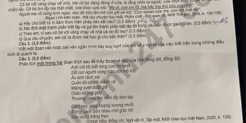 Đề Thi Vào 10 Môn Văn đà Nẵng 2022 Min