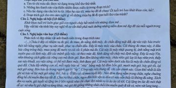 Đề Thi Vào 10 Môn Văn Nghệ An 2022 Min