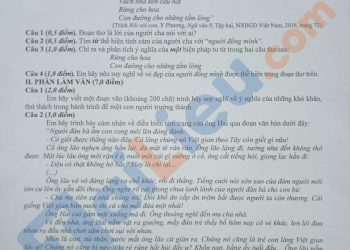 Đề thi vào 10 môn văn hải dương 2022 có file PDF
