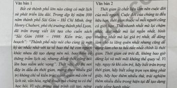 đề Thi Vào 10 Môn Văn Tphcm 2022 Min