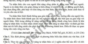 Đề thi học kì 1 lớp 11 môn văn THPT Gia Định 2022