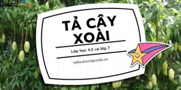 Bài văn tả cây xoài lớp 4,5,7 ngắn gọn đặt điểm cao