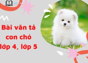 12 bài văn tả con chó lớp 4, 5 ngắn gọn cho học sinh