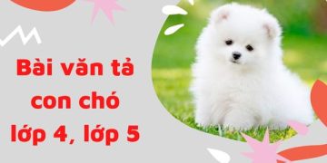 12 bài văn tả con chó lớp 4, 5 ngắn gọn cho học sinh