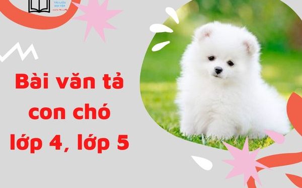 Tả Con Chó Lớp 8: Hướng Dẫn Viết Bài Văn Miêu Tả Chi Tiết Và Sáng Tạo