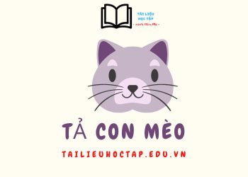 Bài văn tả con mèo lớp 4,5 ngắn gọn