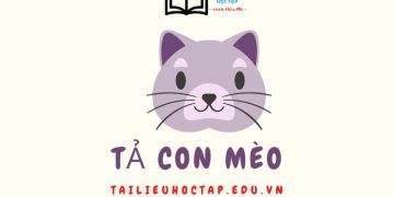 Bài văn tả con mèo lớp 4,5 ngắn gọn