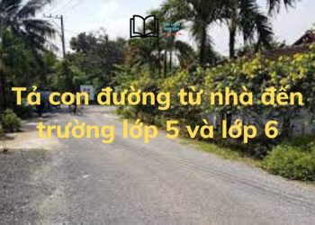 Bài văn tả con đường từ nhà đến trường lớp 5,6 hay ngắn gọn
