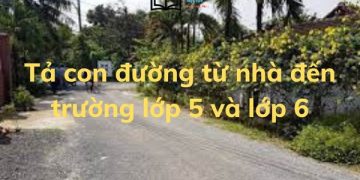 Bài văn tả con đường từ nhà đến trường lớp 5,6 hay ngắn gọn