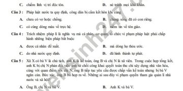Bộ đề thi GDCD lớp 9 cuối học kì 2