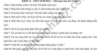 Đề Thi Học Kì 2 Môn Sinh Lớp 11 Thpt Lý Thường Kiệt Năm 2021 Min