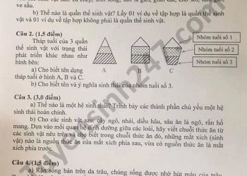 Bộ đề thi sinh cuối kì 2 lớp 9 có đầy đủ file PDF tải về