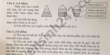 Bộ đề thi sinh cuối kì 2 lớp 9 có đầy đủ file PDF tải về