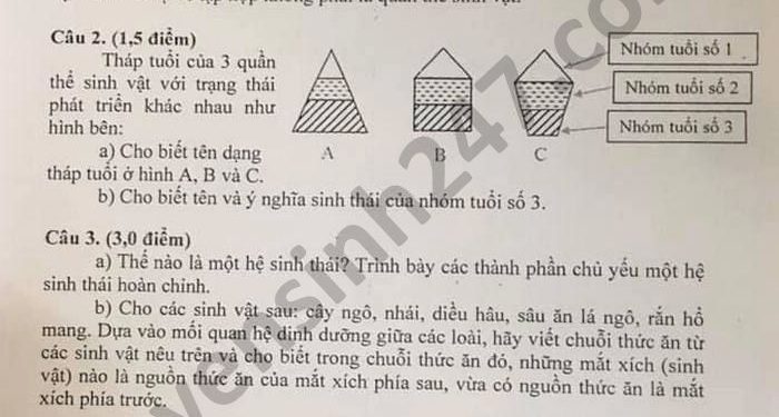 Bộ đề thi sinh cuối kì 2 lớp 9 có đầy đủ file PDF tải về