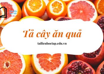 Top 17+ bài văn tả cây ăn quả lớp 4 và 5 mà em yêu thích ngắn gọn