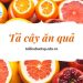 Top 17+ bài văn tả cây ăn quả lớp 4 và 5 mà em yêu thích ngắn gọn
