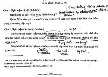 Đề thi học sinh giỏi môn văn THPT cấp quốc gia năm học 2022 2023
