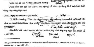 Đề thi học sinh giỏi môn văn THPT cấp quốc gia năm học 2022 2023