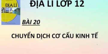 Làm Online 47 câu trắc nghiệm địa 12 bài 20 có đáp án