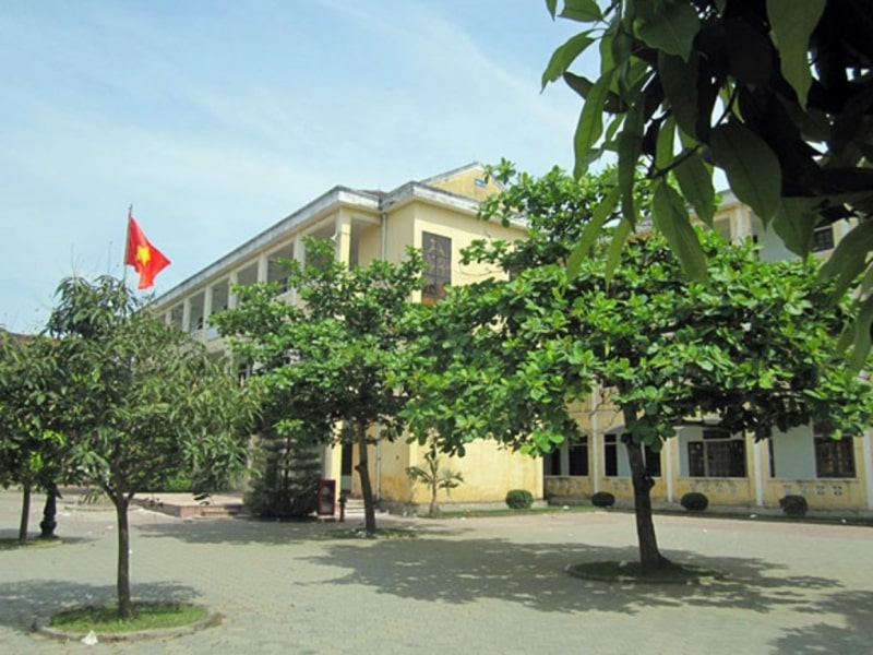 Bài văn tả cây bàng lớp 4 ngắn gọn nhất - Mẫu số 1