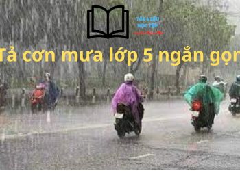 Bài văn tả cơn mưa lớp 5 ngắn gọn đạt điểm 9,5 đó