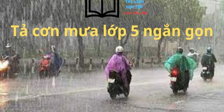 Bài văn tả cơn mưa lớp 5 ngắn gọn đạt điểm 9,5 đó