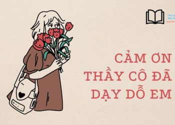 Bài văn tả cô giáo của em lớp 5 ngắm gọn, hay nhất Việt Nam